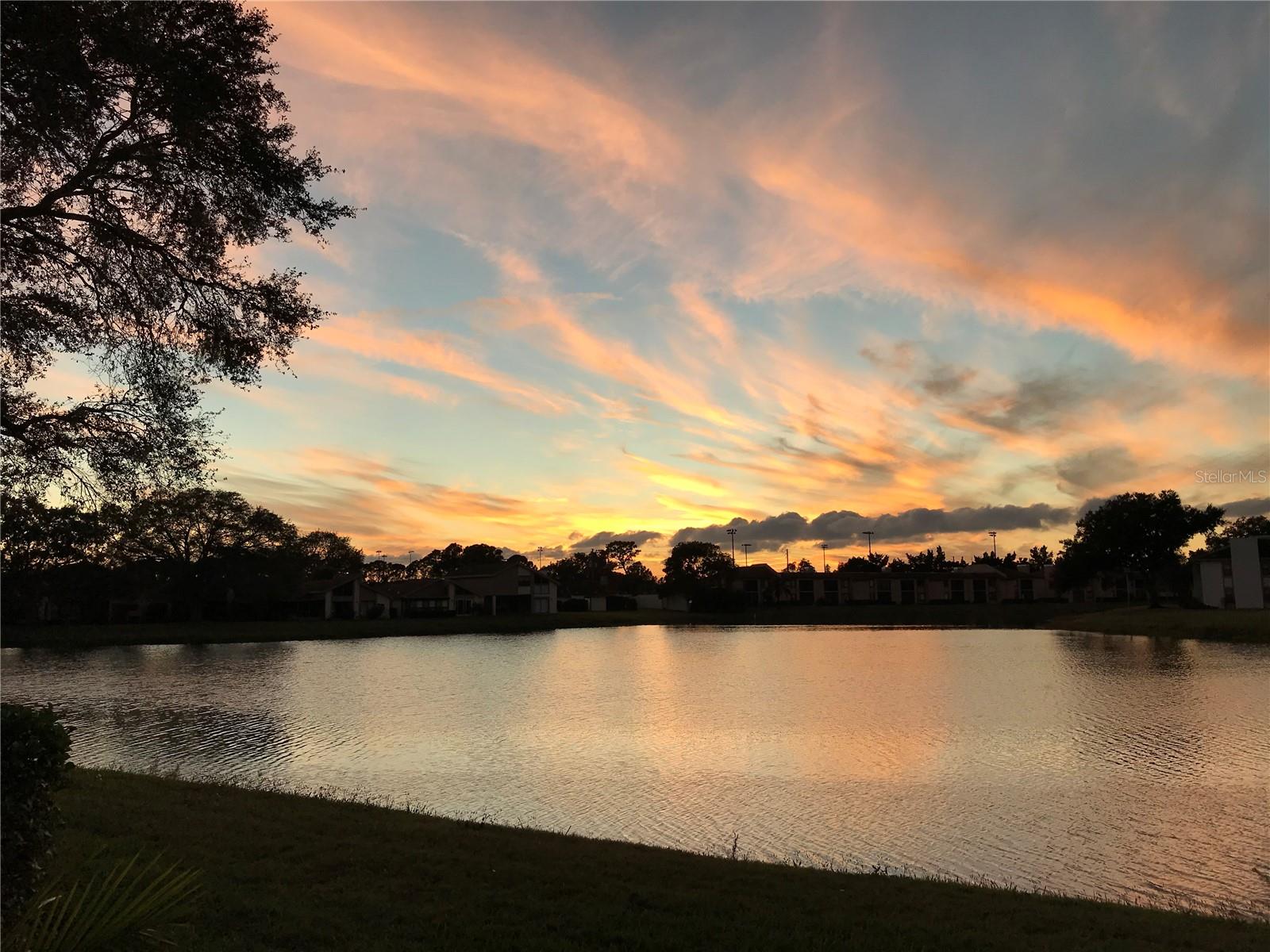 215 NINA WAY, OLDSMAR, FL, 34677