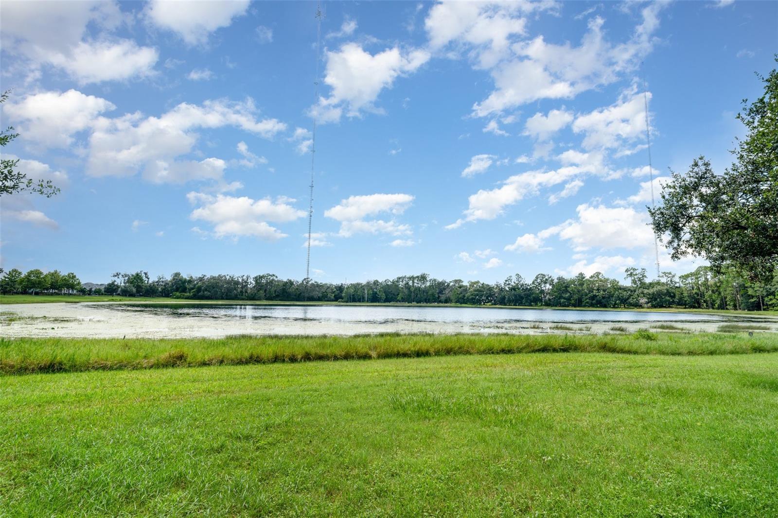 5714 COLONY GLEN RD, LITHIA, FL, 33547