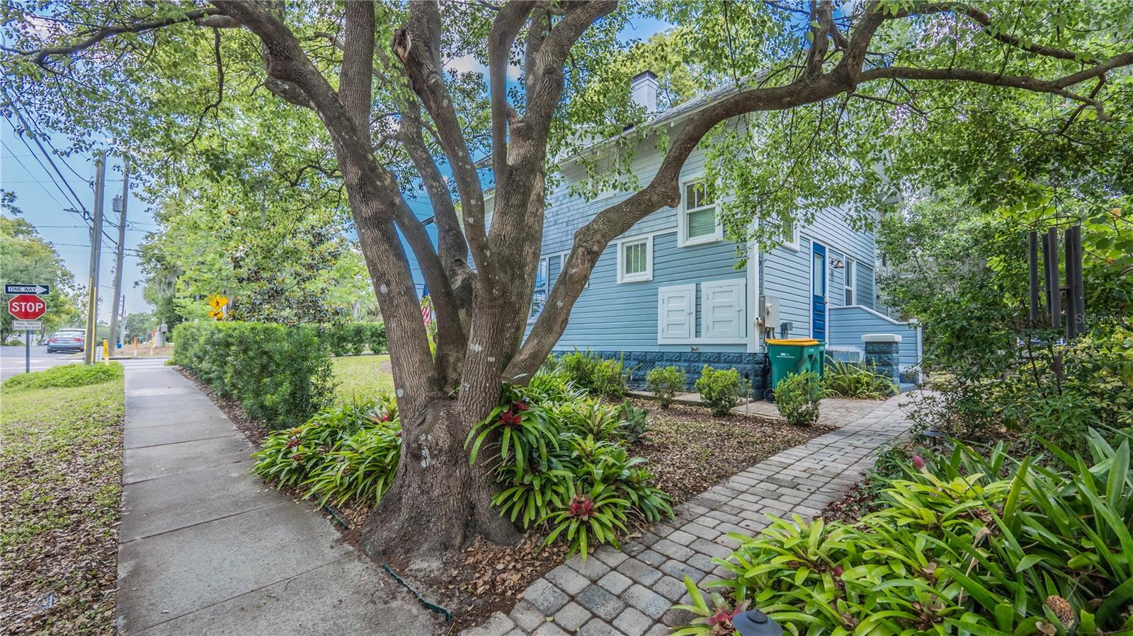 908 N TREMAIN ST, MOUNT DORA, FL, 32757