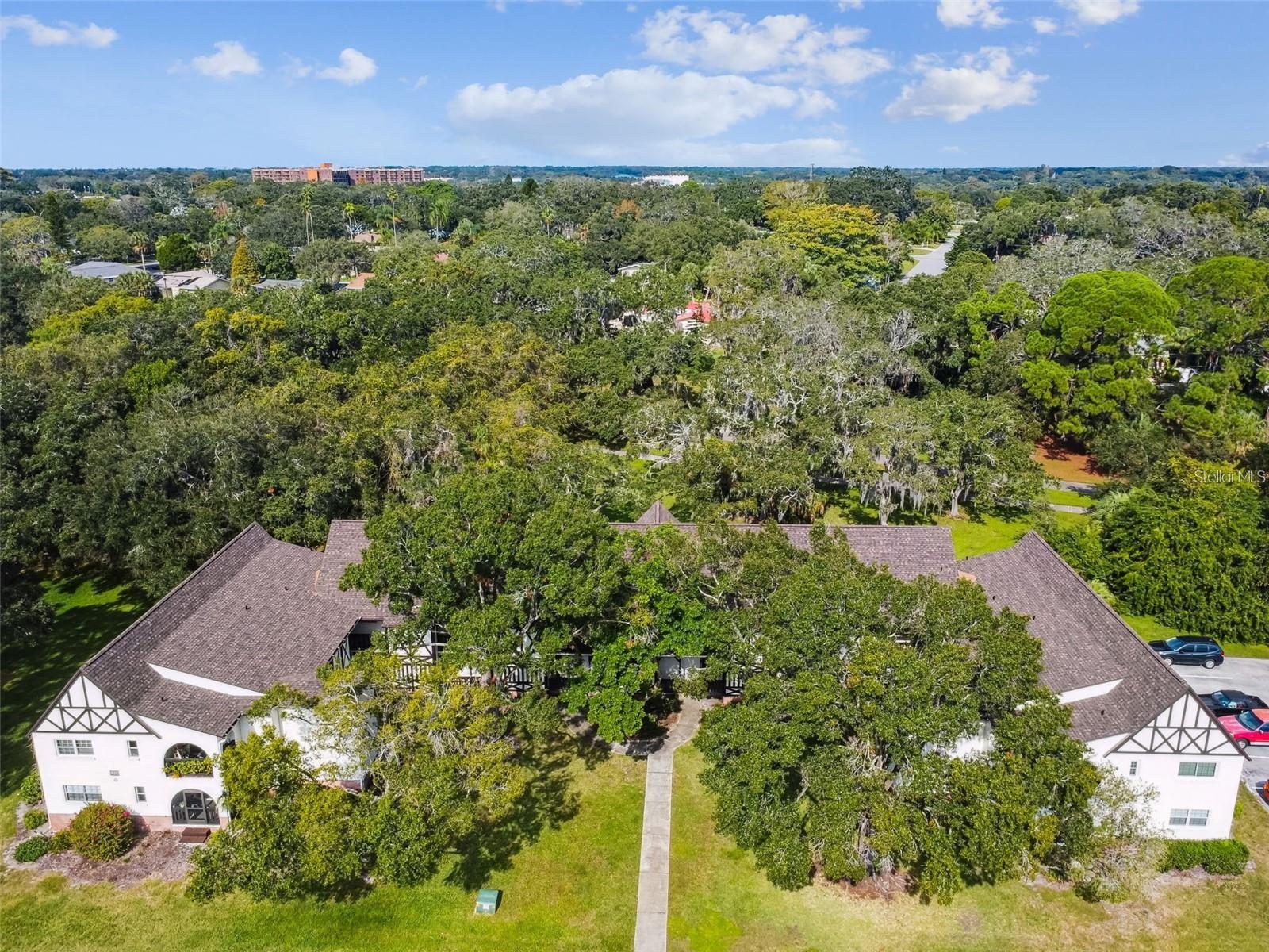 420 N BAYSHORE BLVD #102, CLEARWATER, FL, 33759