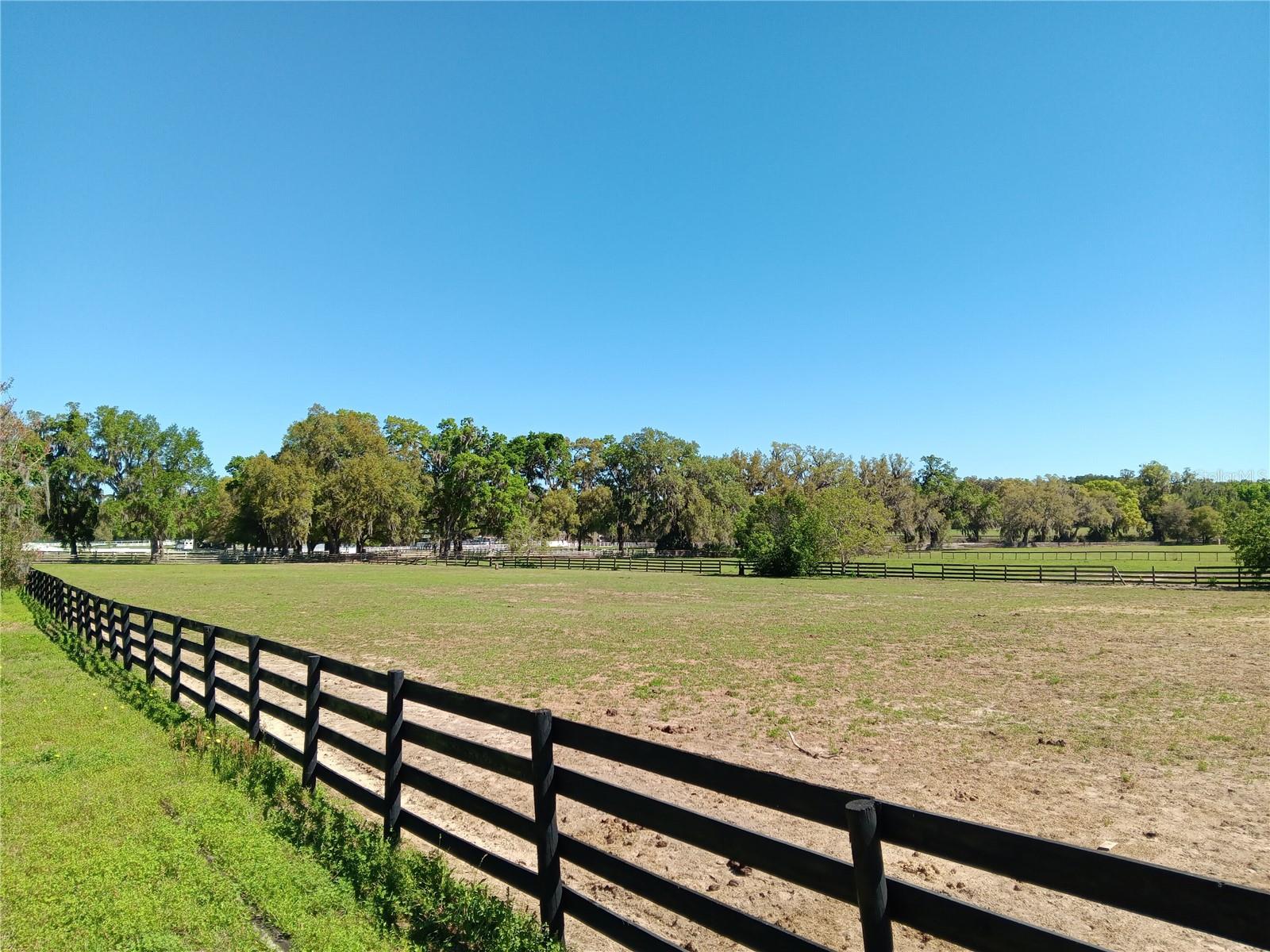 2630 NW 140TH ST, CITRA, FL, 32113