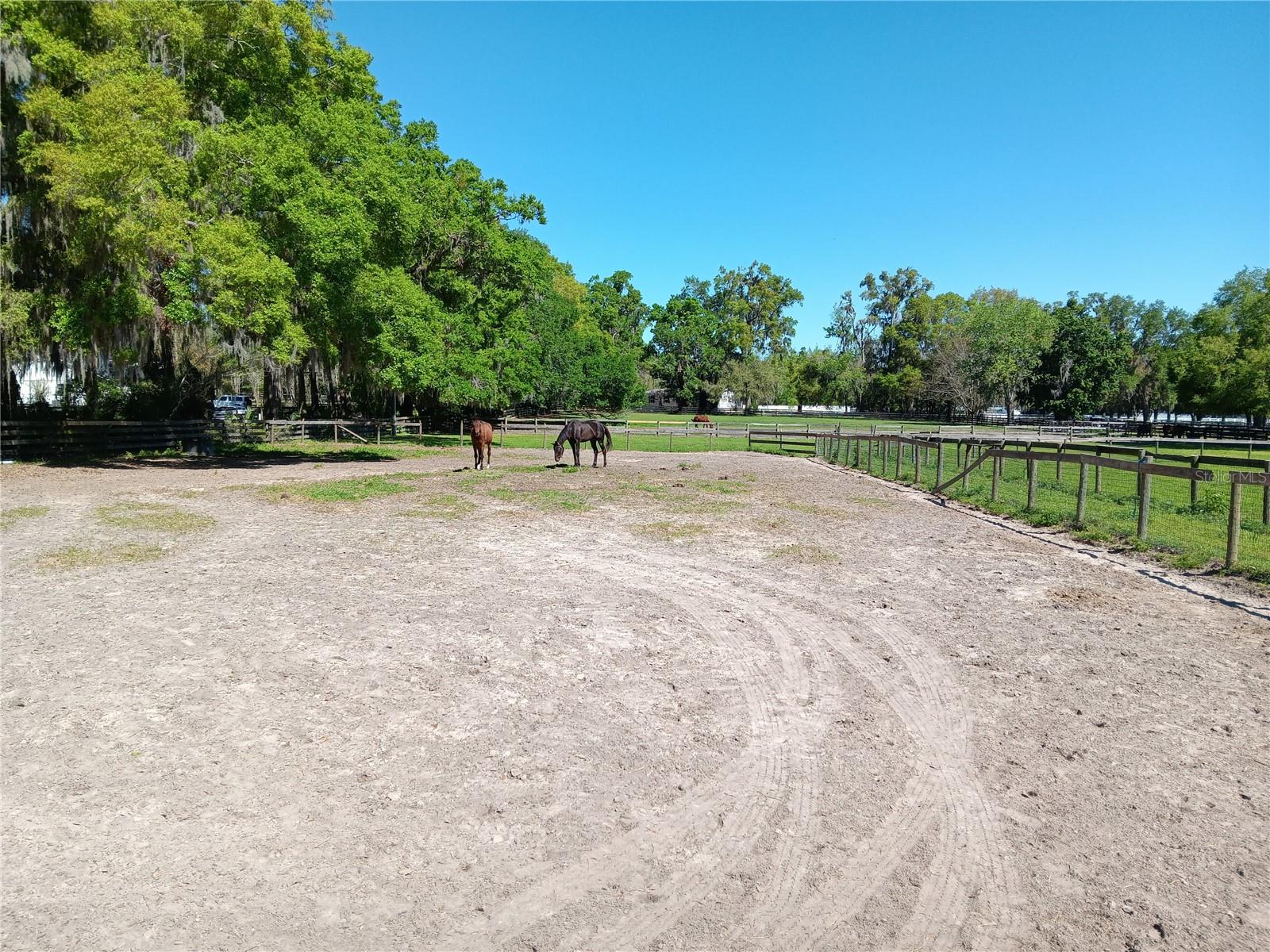 2630 NW 140TH ST, CITRA, FL, 32113