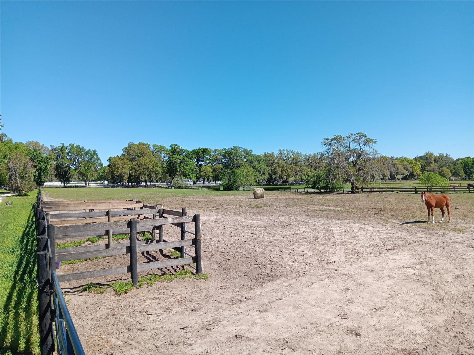 2630 NW 140TH ST, CITRA, FL, 32113