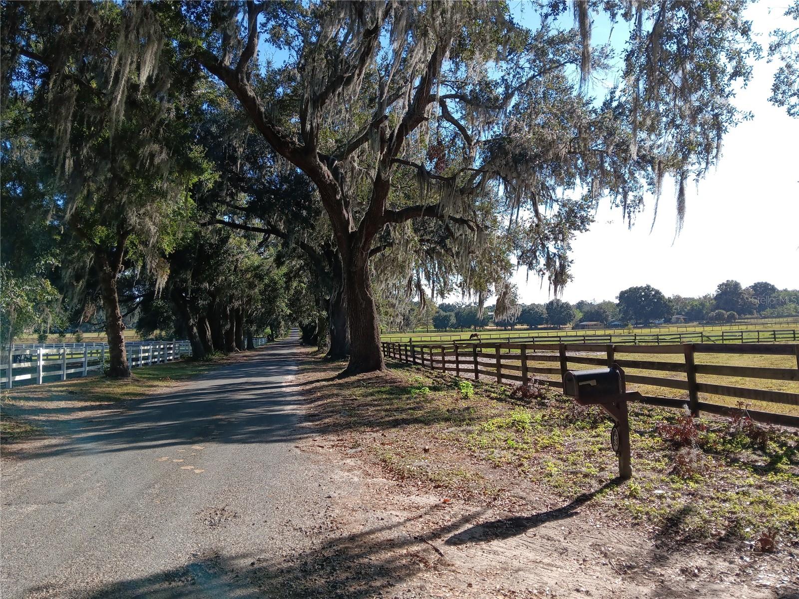 2630 NW 140TH ST, CITRA, FL, 32113