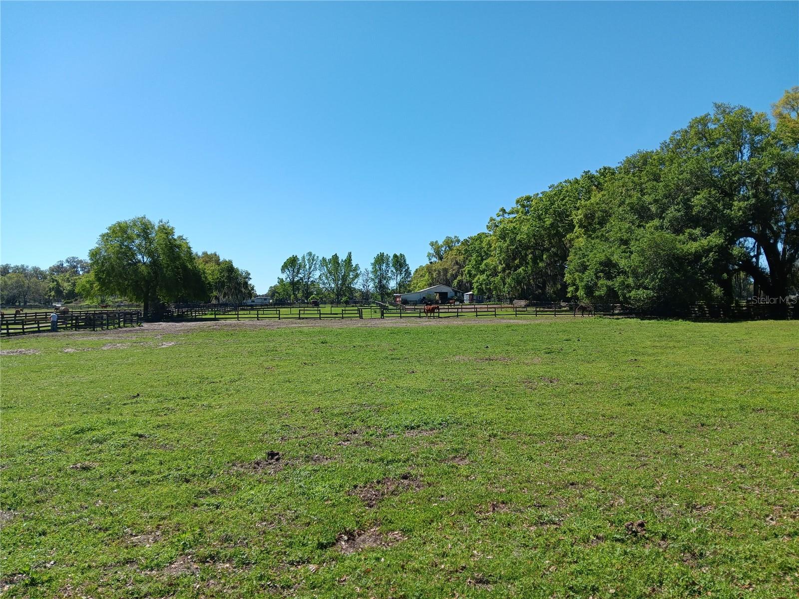 2630 NW 140TH ST, CITRA, FL, 32113