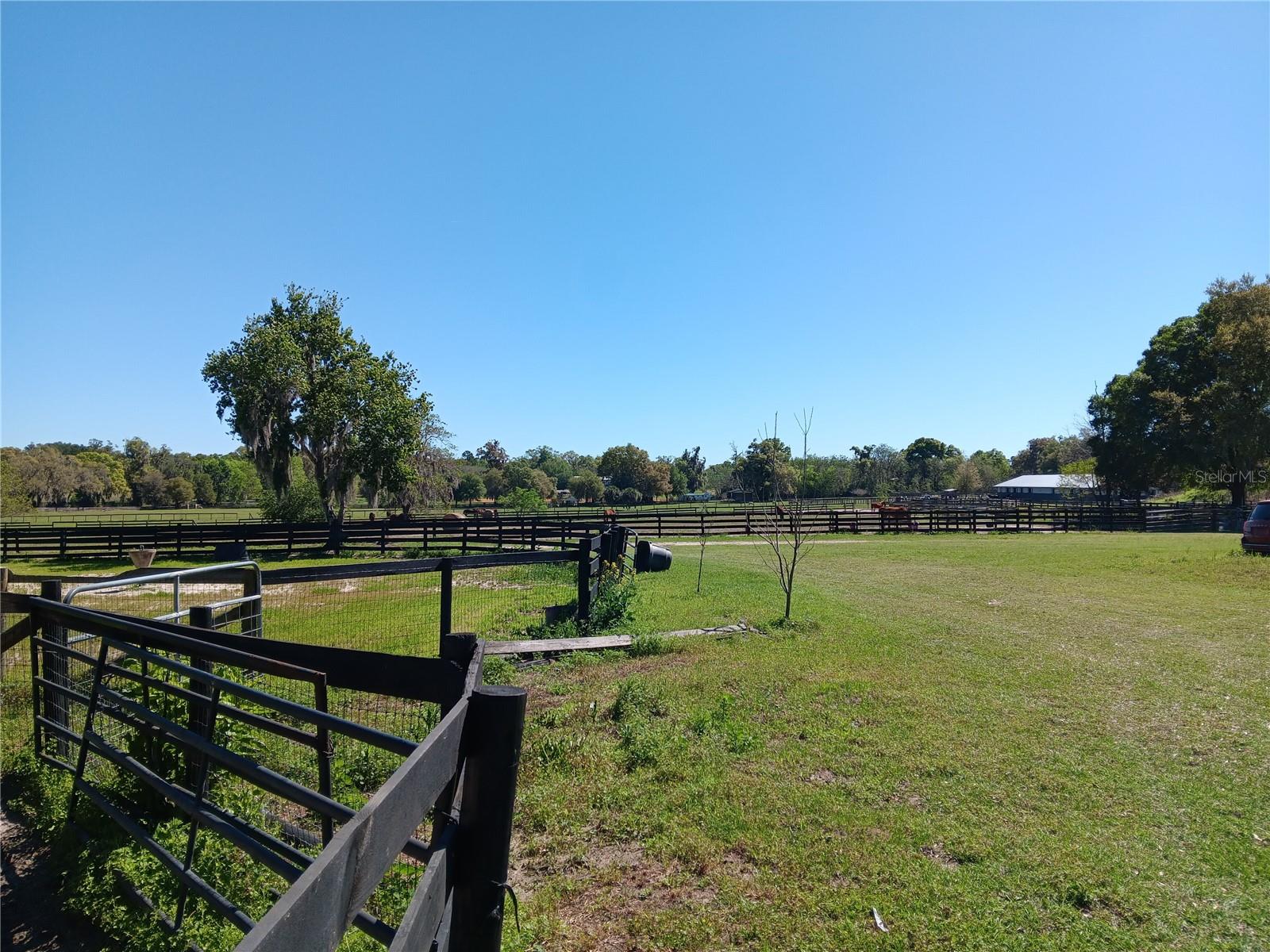 2630 NW 140TH ST, CITRA, FL, 32113