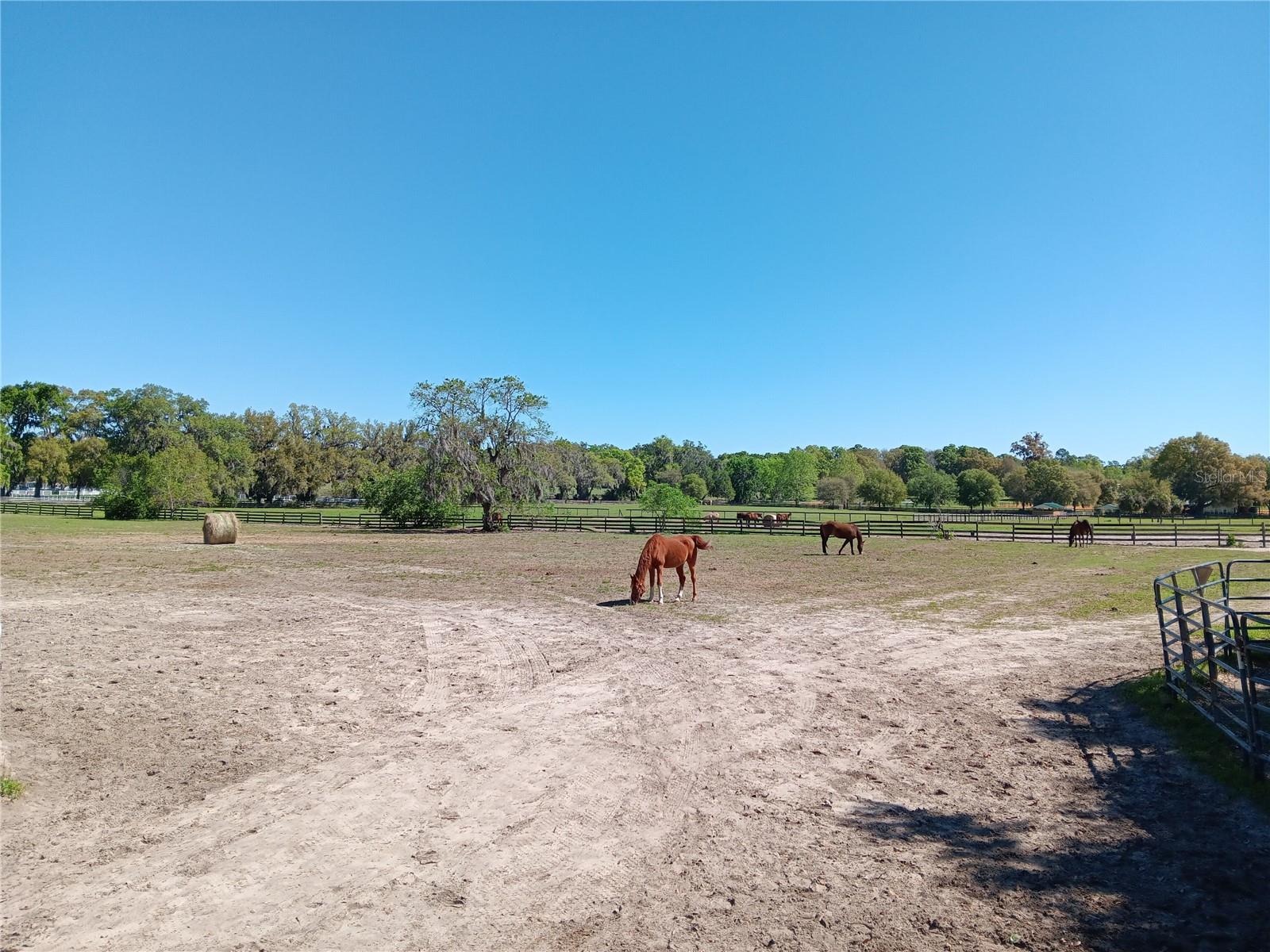 2630 NW 140TH ST, CITRA, FL, 32113