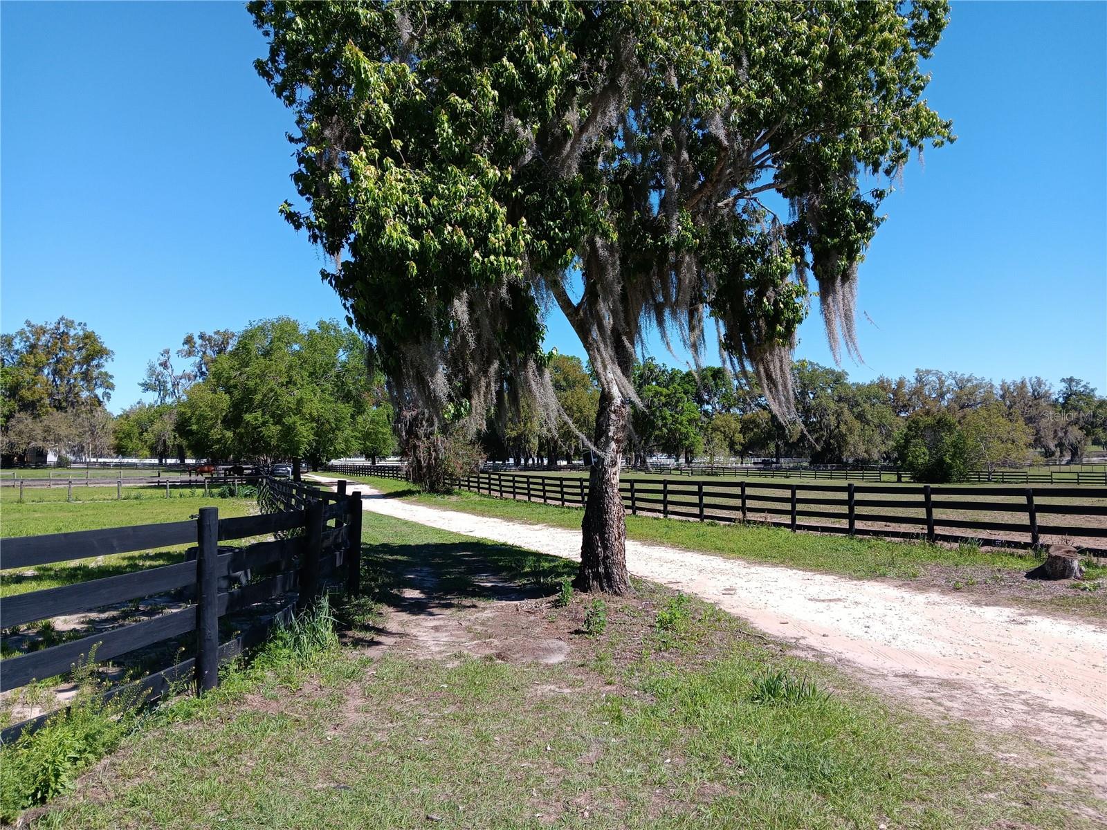 2630 NW 140TH ST, CITRA, FL, 32113