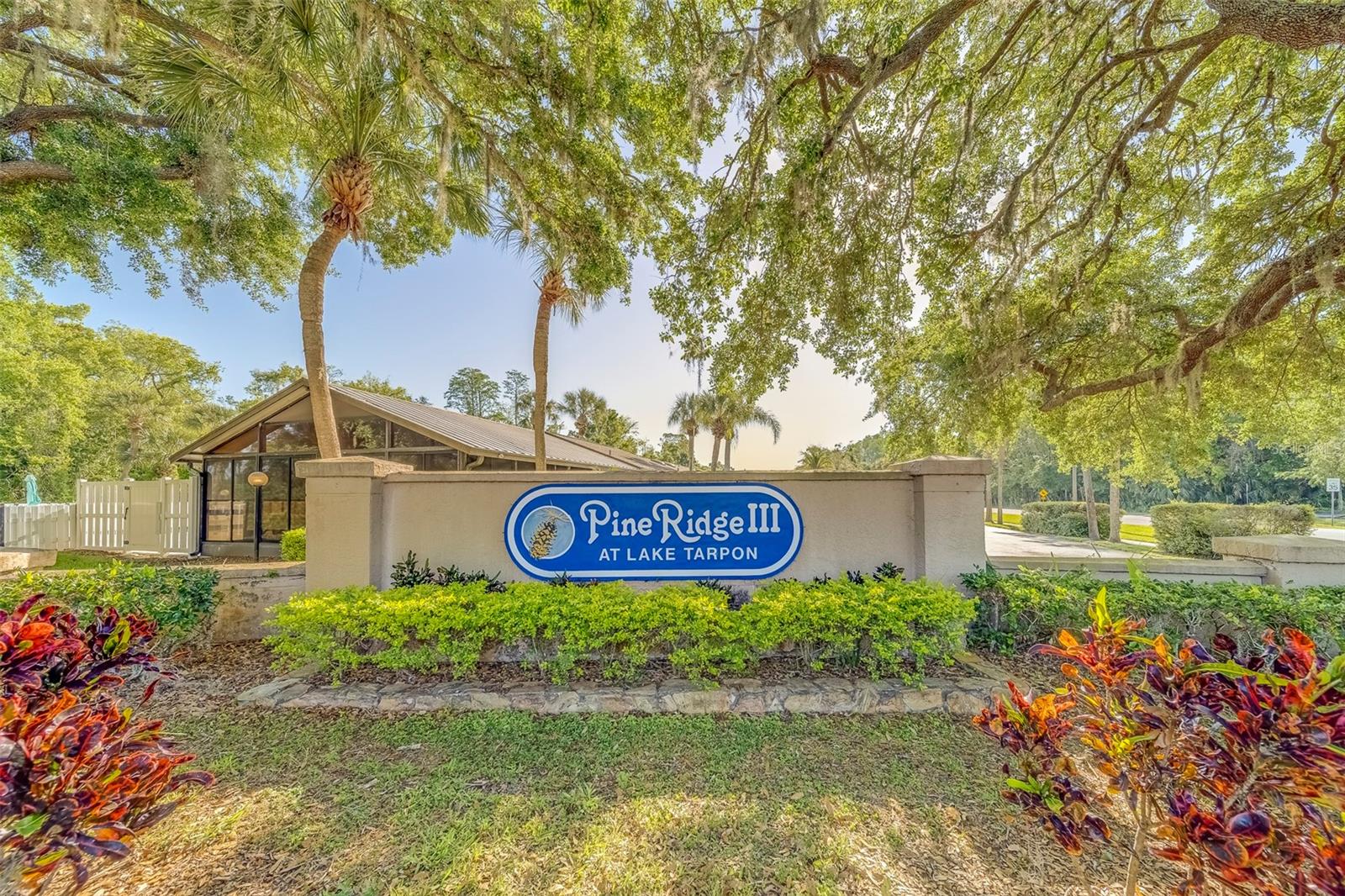 3135 CHARTER CLUB DR #G, TARPON SPRINGS, FL, 34688
