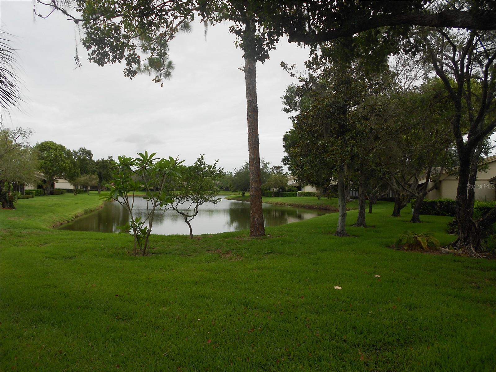 540 HICKORYNUT AVE, OLDSMAR, FL, 34677