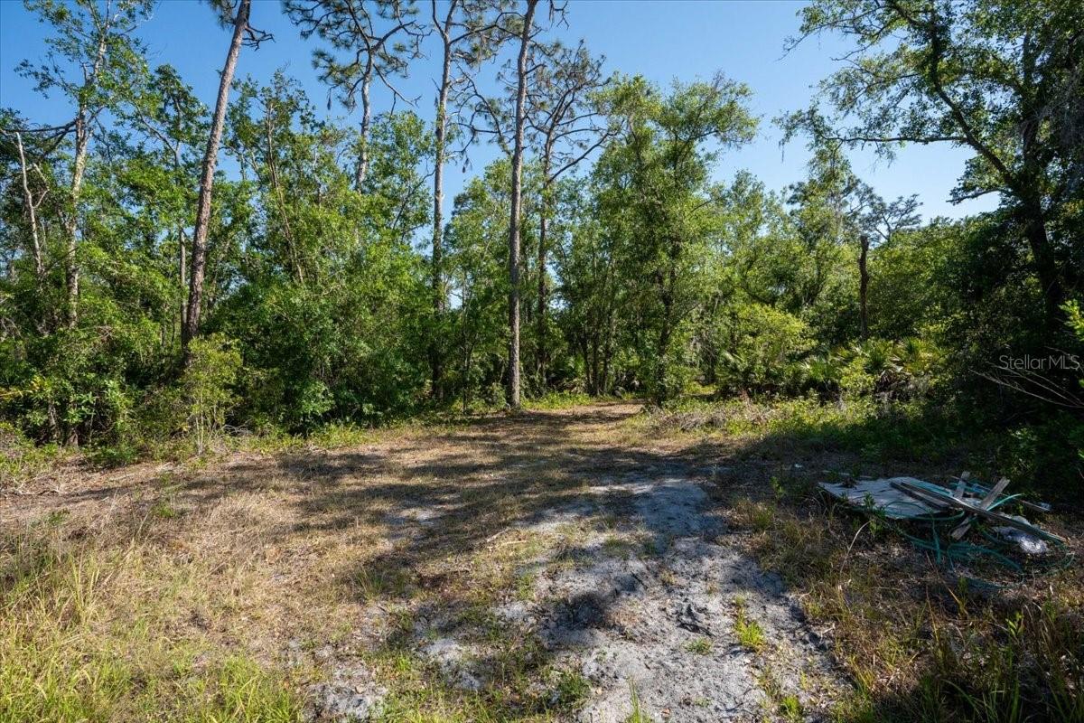 24820 49TH AVE E, MYAKKA CITY, FL, 34251