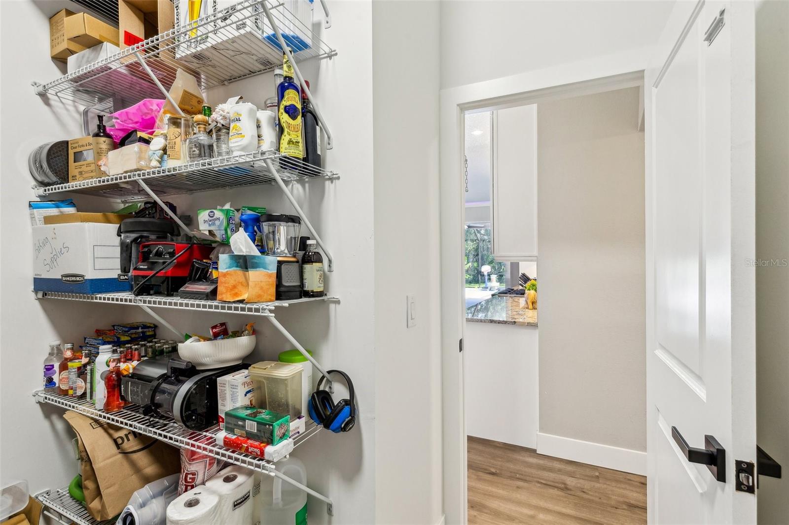 7308 CARRINGTON OAKS LN, APOLLO BEACH, FL, 33572