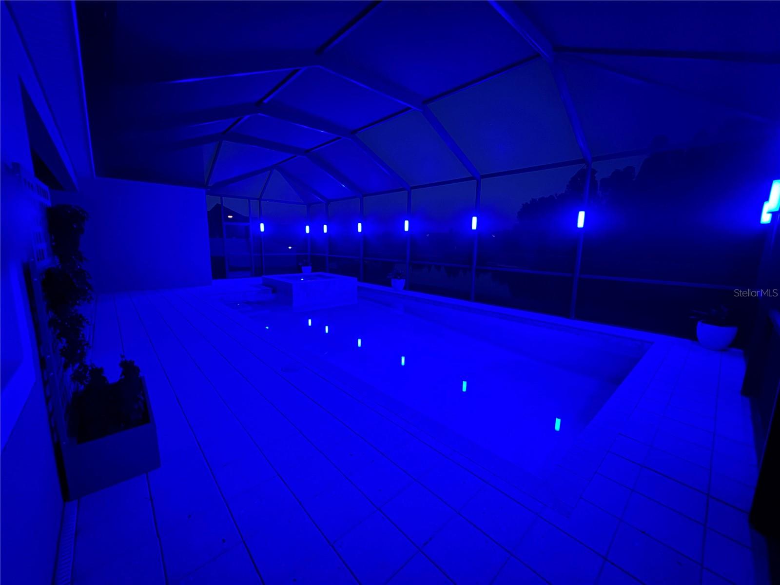 32791 NATURAL BRIDGE RD, WESLEY CHAPEL, FL, 33543