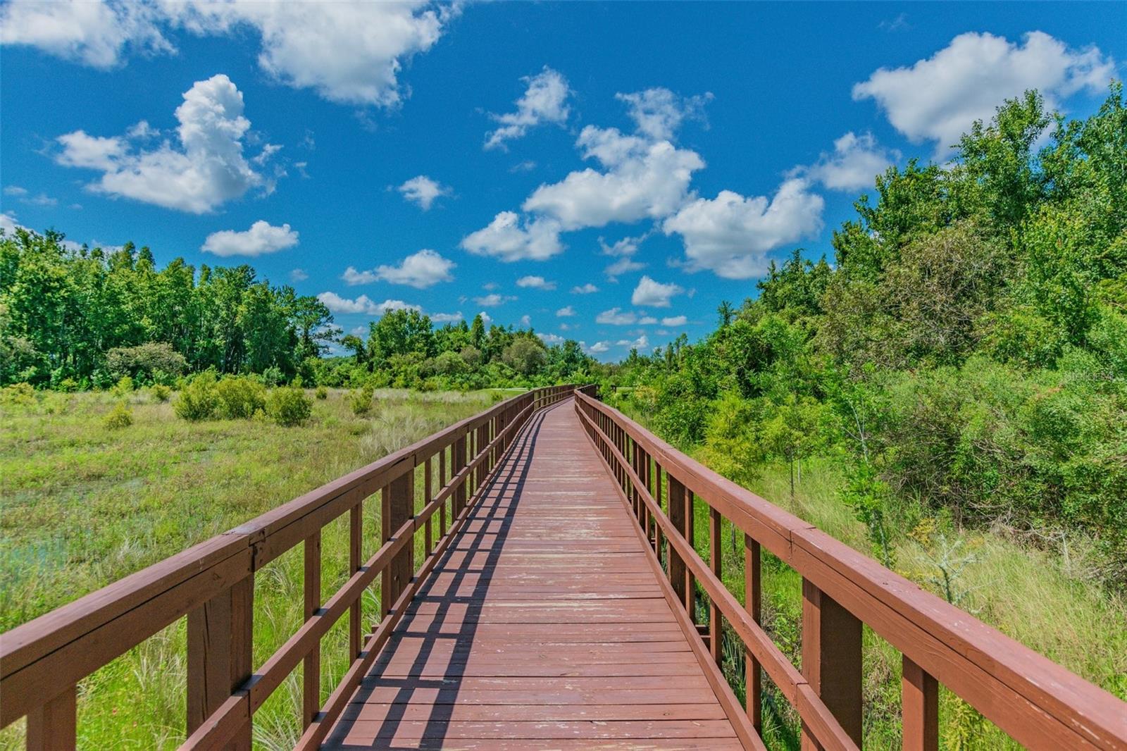 32791 NATURAL BRIDGE RD, WESLEY CHAPEL, FL, 33543