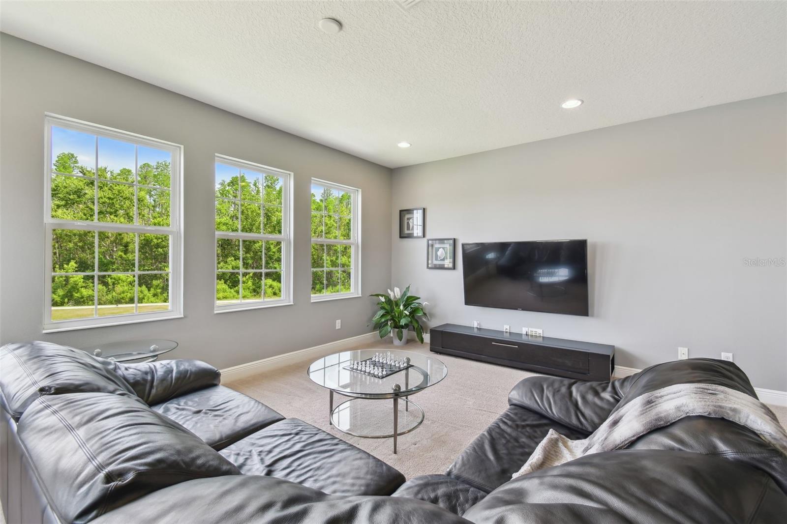 32791 NATURAL BRIDGE RD, WESLEY CHAPEL, FL, 33543