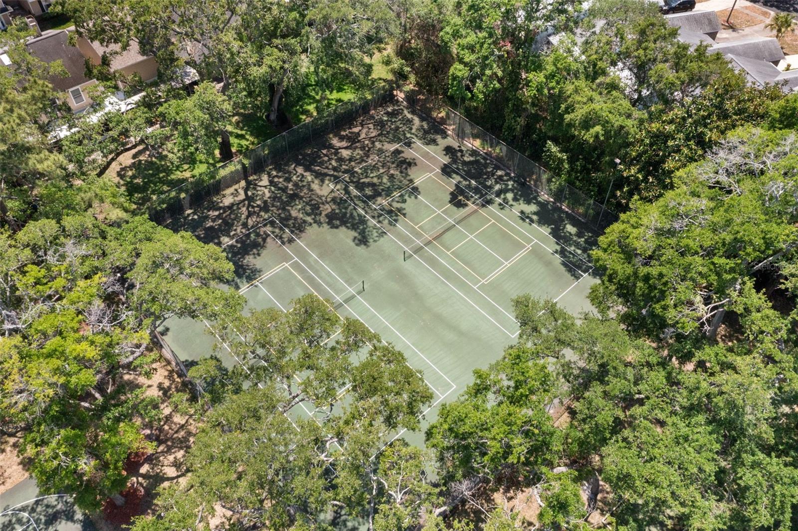 3241 FOX CHASE CIR N #106, PALM HARBOR, FL, 34683