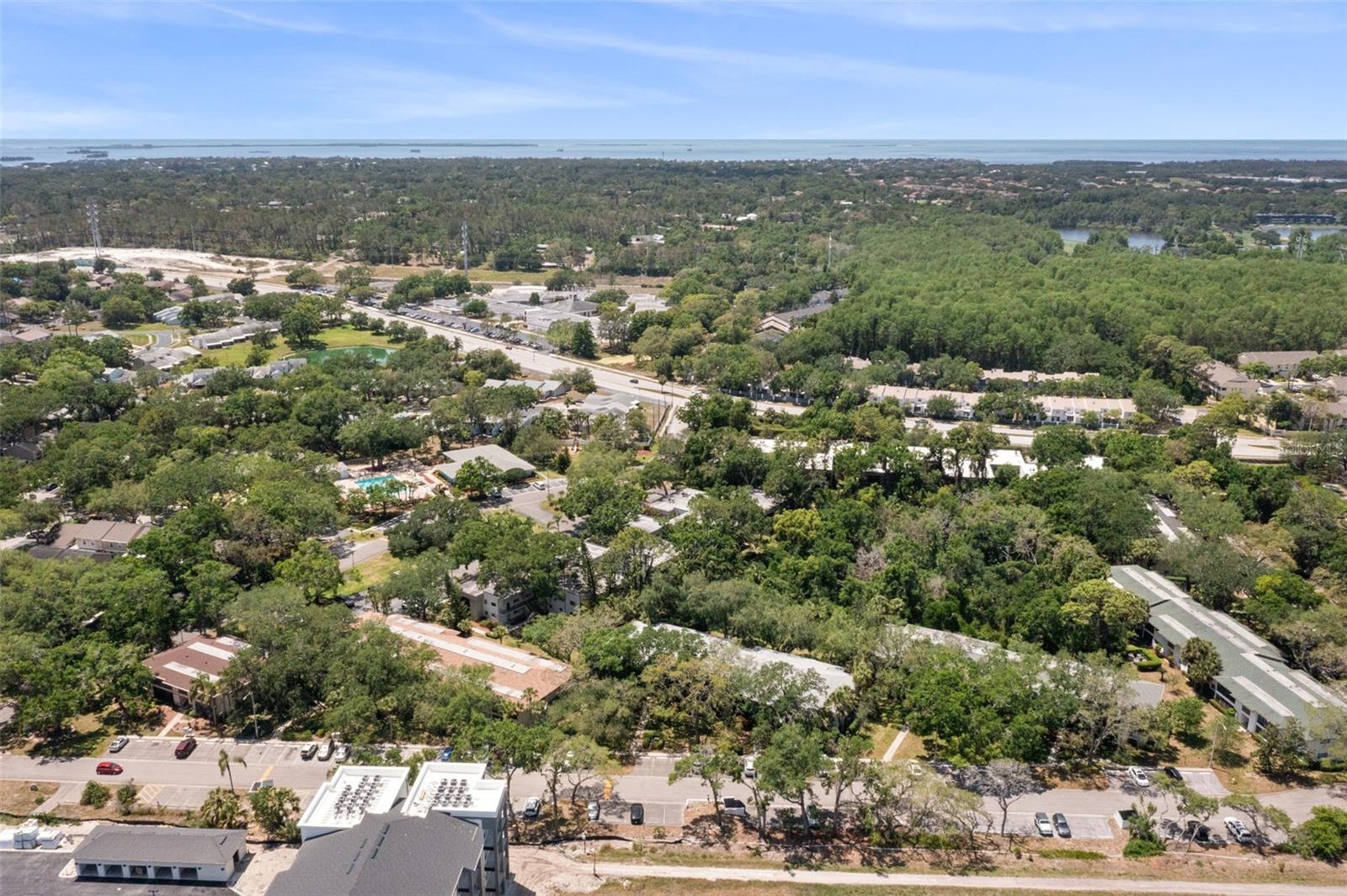 3241 FOX CHASE CIR N #106, PALM HARBOR, FL, 34683