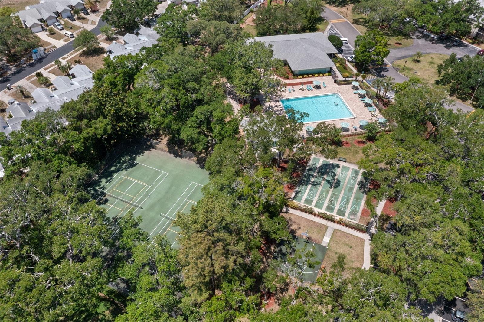 3241 FOX CHASE CIR N #106, PALM HARBOR, FL, 34683