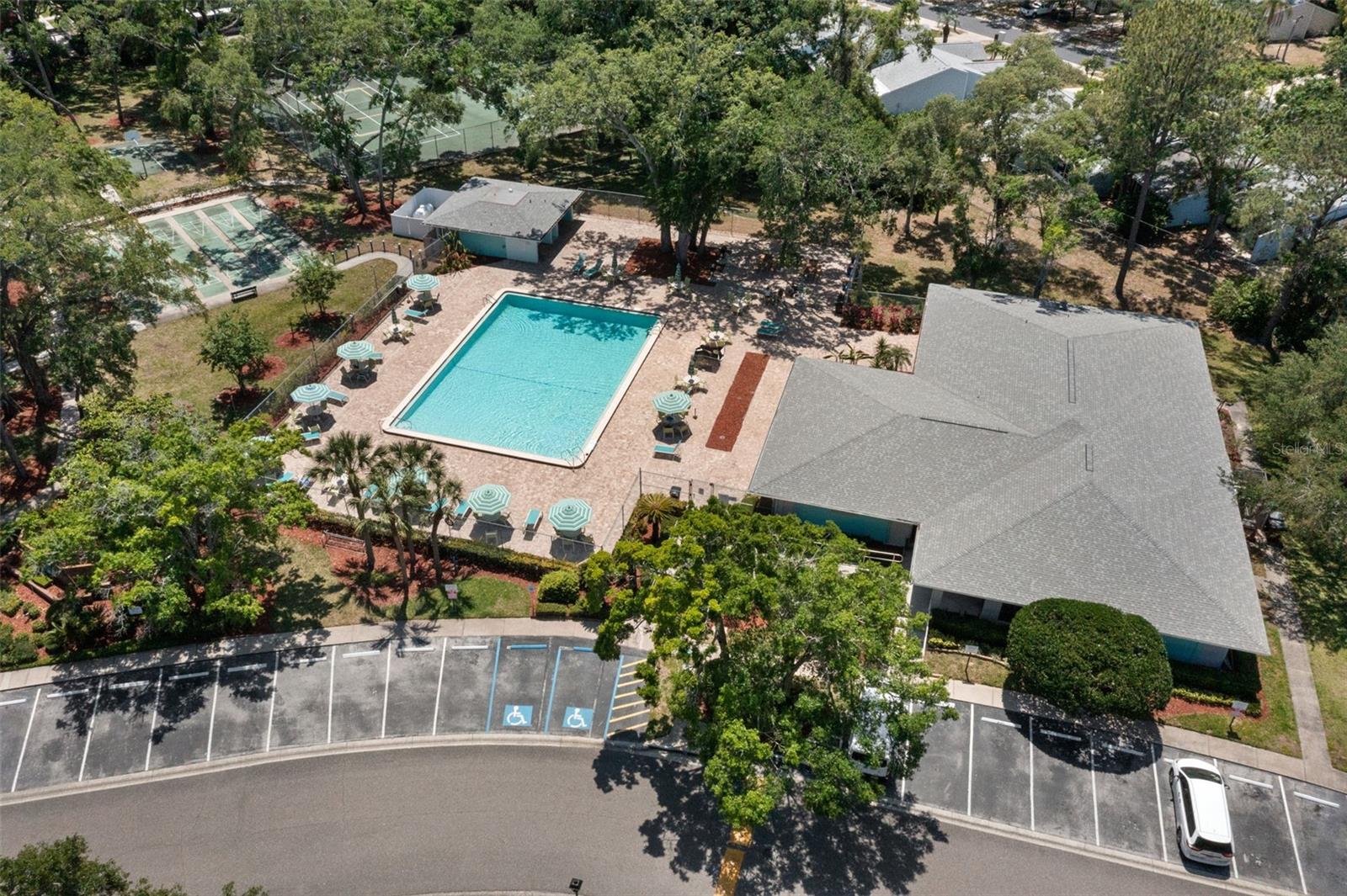 3241 FOX CHASE CIR N #106, PALM HARBOR, FL, 34683