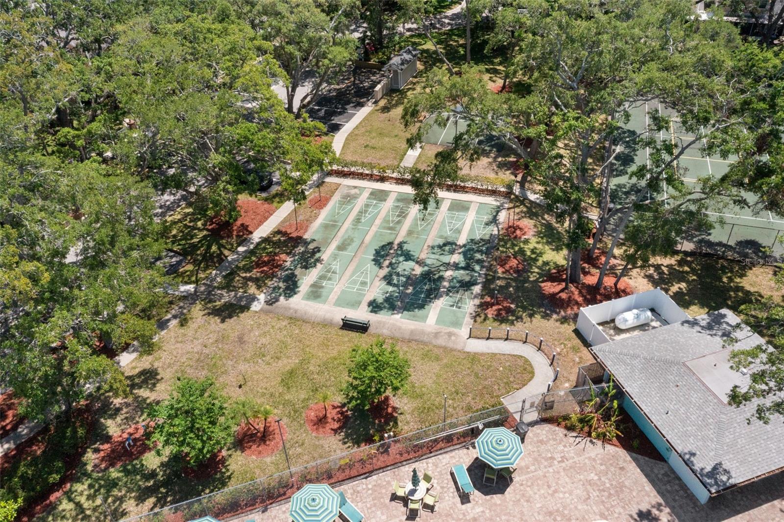 3241 FOX CHASE CIR N #106, PALM HARBOR, FL, 34683