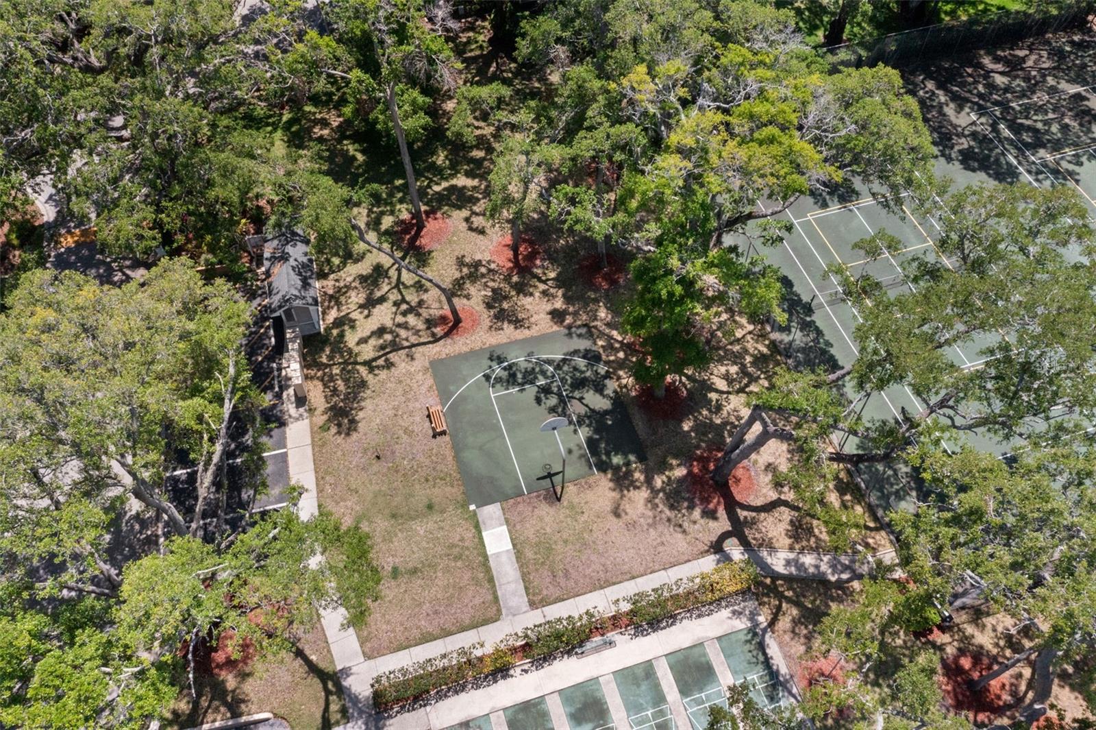 3241 FOX CHASE CIR N #106, PALM HARBOR, FL, 34683