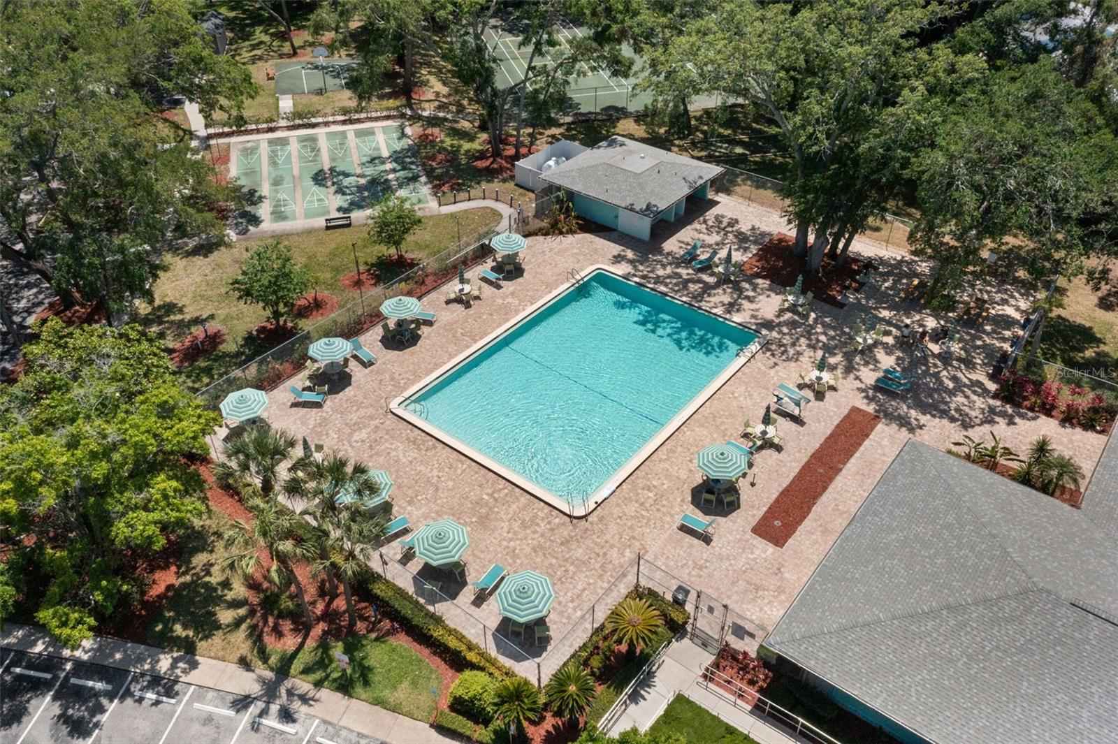 3241 FOX CHASE CIR N #106, PALM HARBOR, FL, 34683