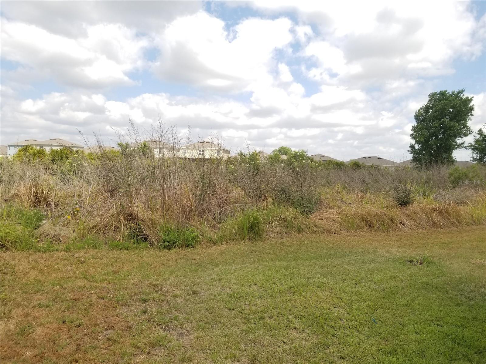 5825 ARLINGTON RIVER DR, LAKELAND, FL, 33811