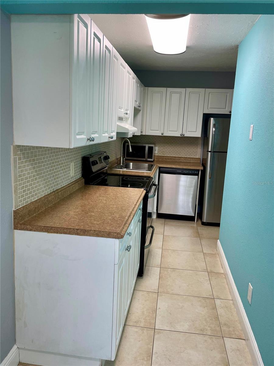 13833 ORANGE SUNSET DR #201, TAMPA, FL, 33618