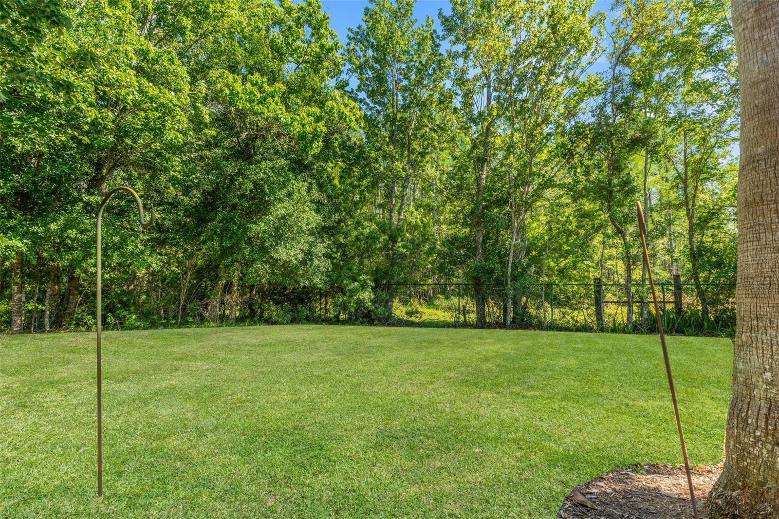 1013 SWEET JASMINE DR, TRINITY, FL, 34655