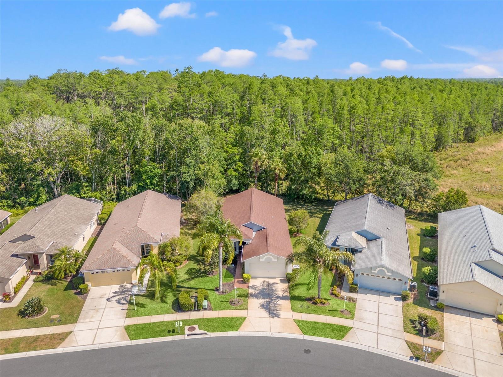 1013 SWEET JASMINE DR, TRINITY, FL, 34655