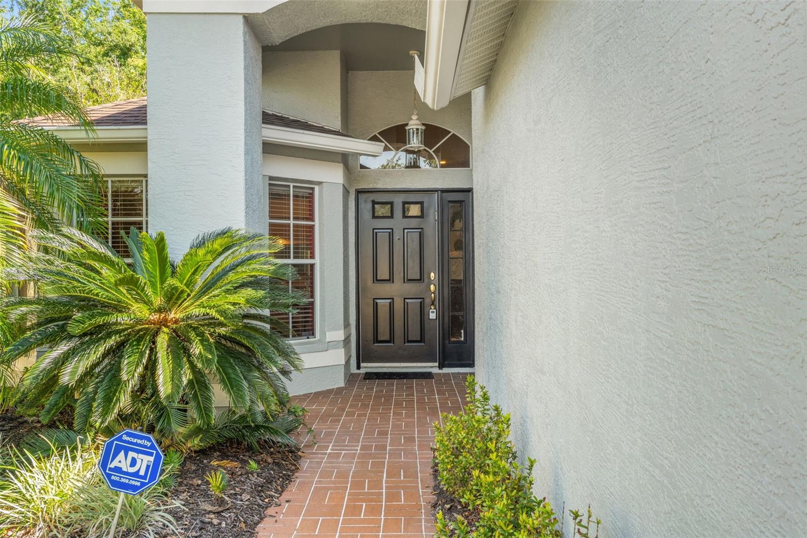 1013 SWEET JASMINE DR, TRINITY, FL, 34655