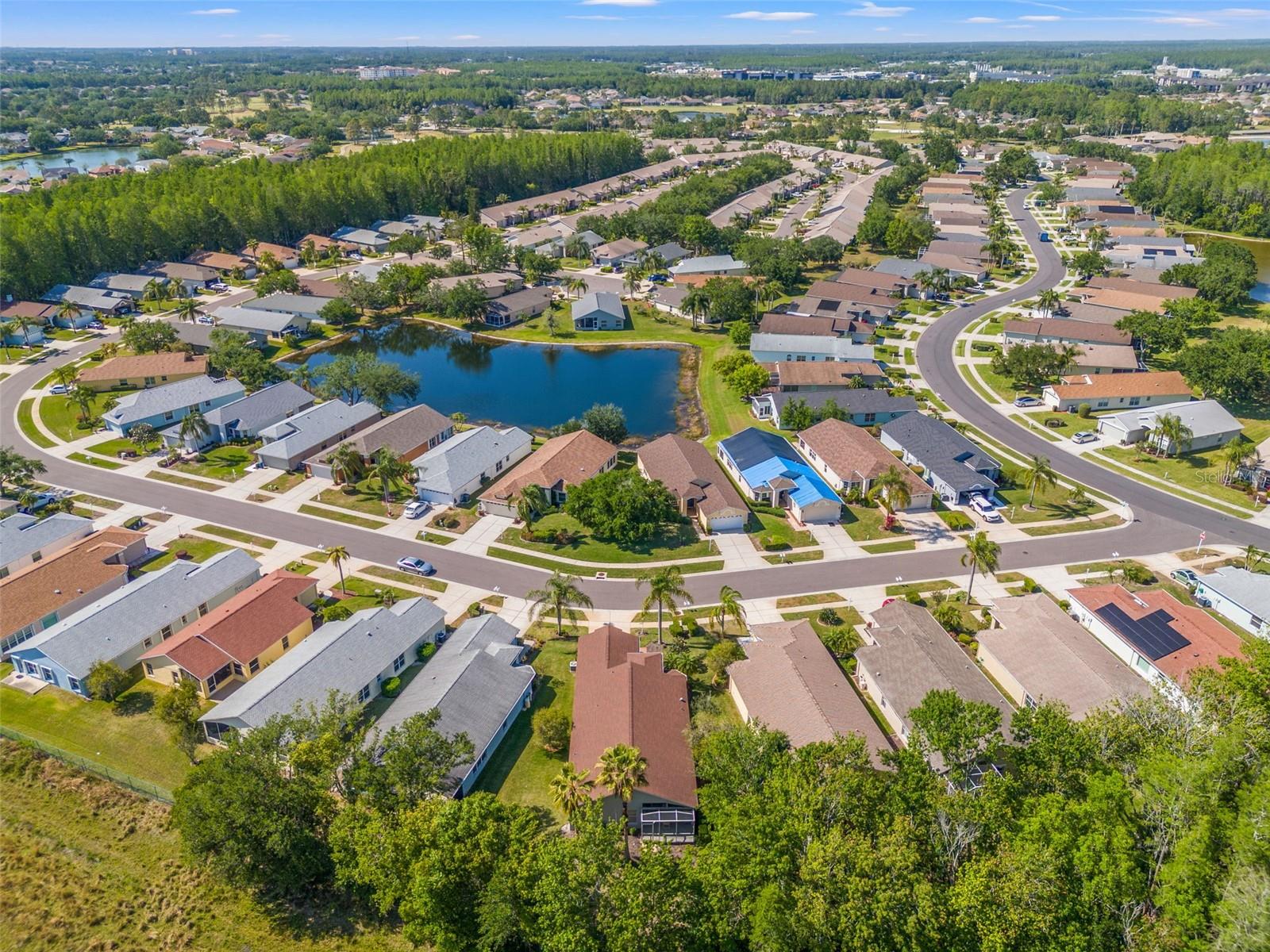 1013 SWEET JASMINE DR, TRINITY, FL, 34655