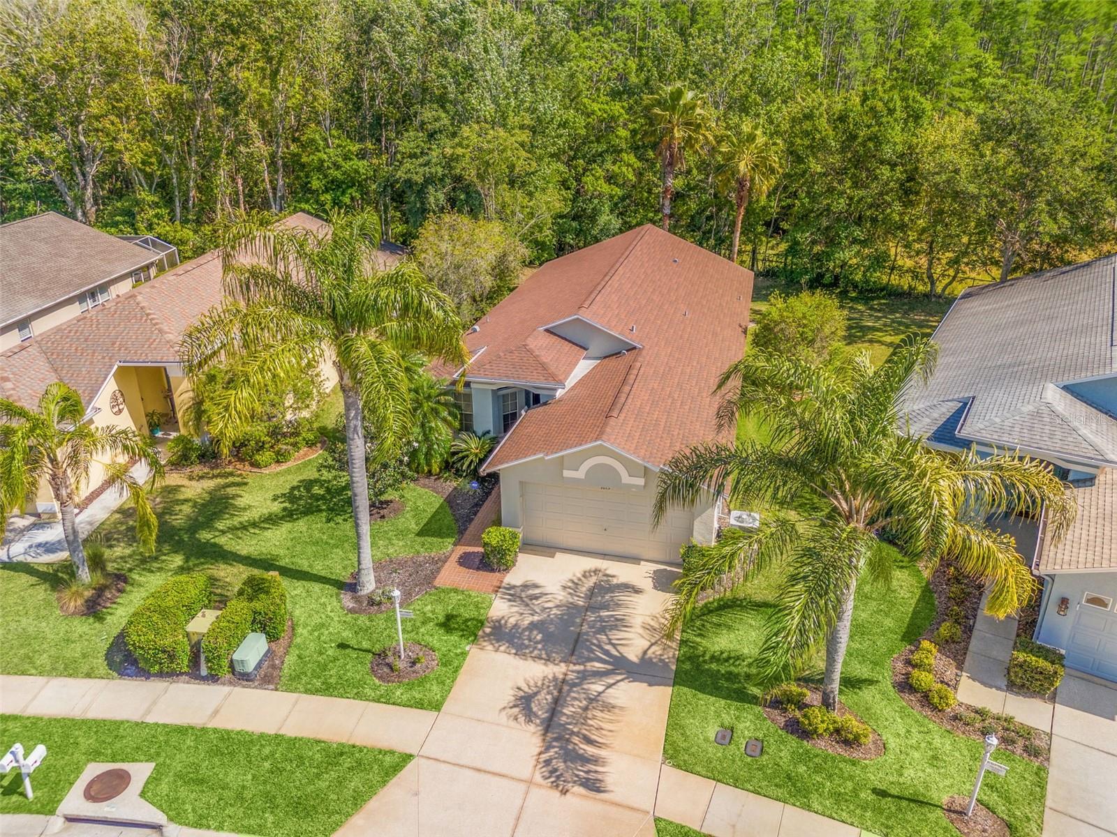 1013 SWEET JASMINE DR, TRINITY, FL, 34655