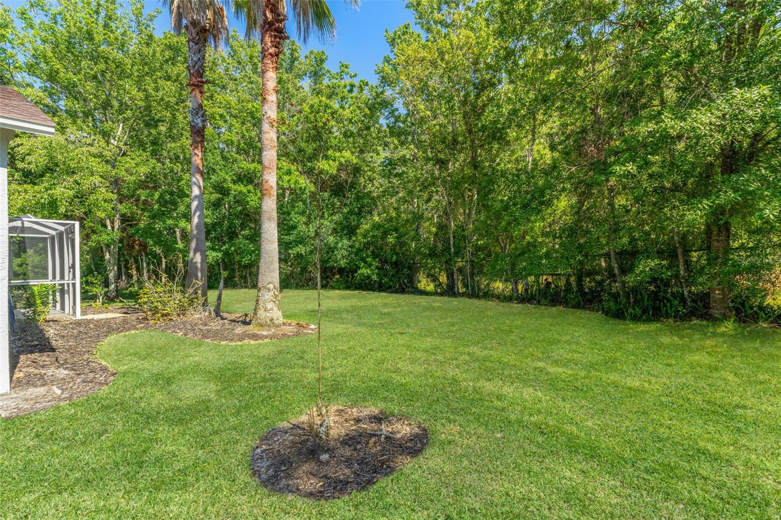 1013 SWEET JASMINE DR, TRINITY, FL, 34655