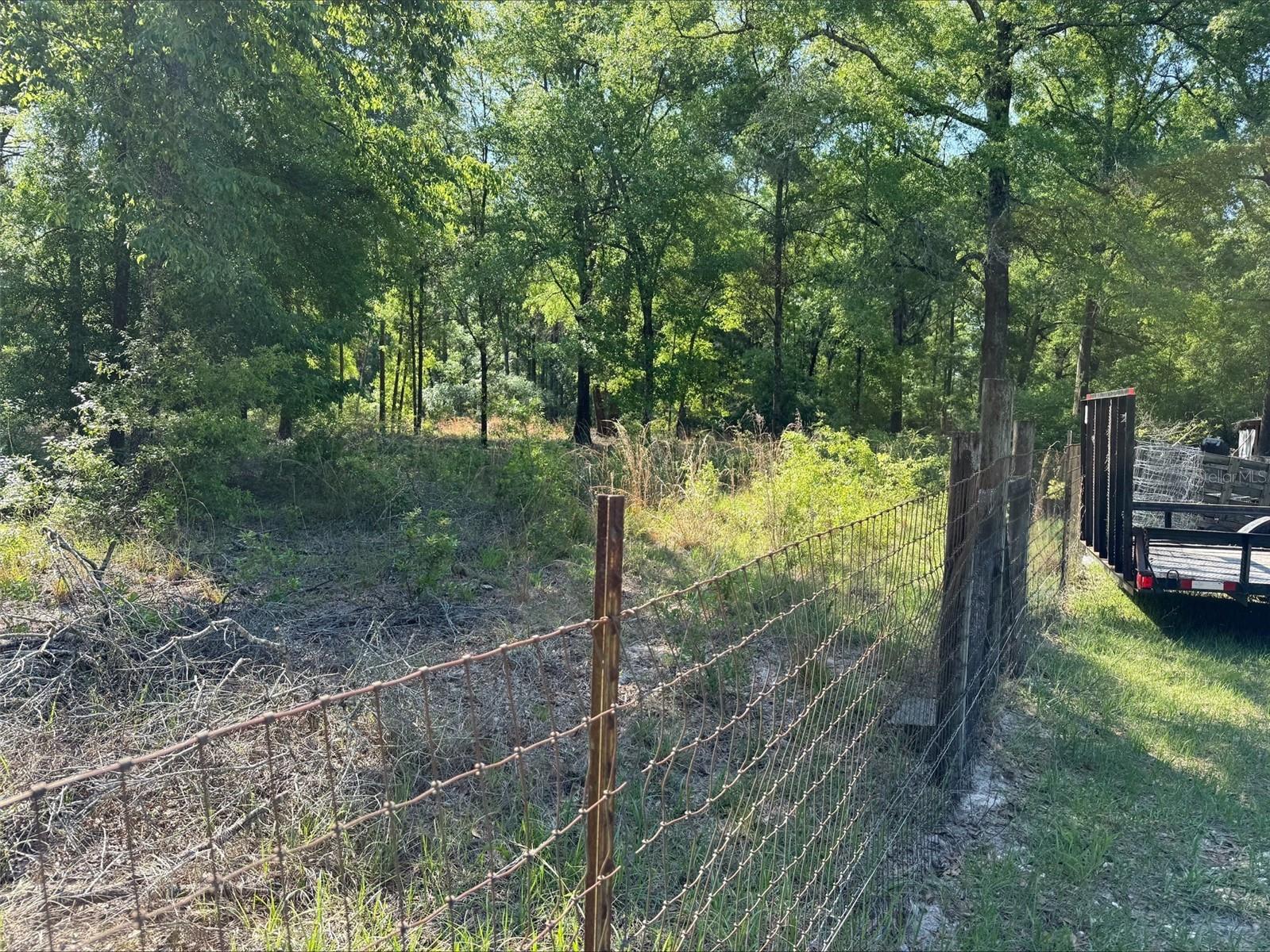 Lot 19 208TH ST, O'BRIEN, FL, 32071