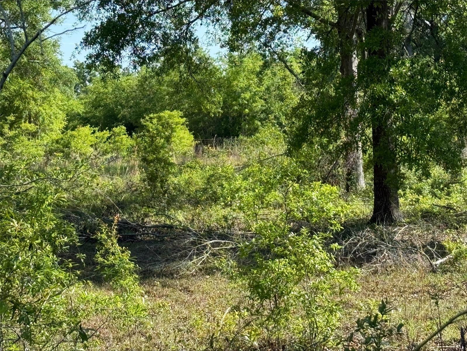 Lot 19 208TH ST, O'BRIEN, FL, 32071