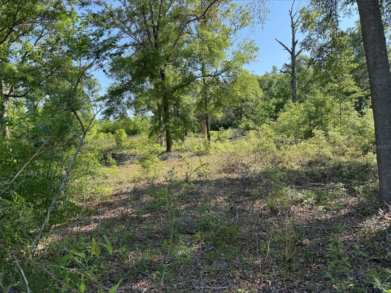 Lot 19 208TH ST, O'BRIEN, FL, 32071