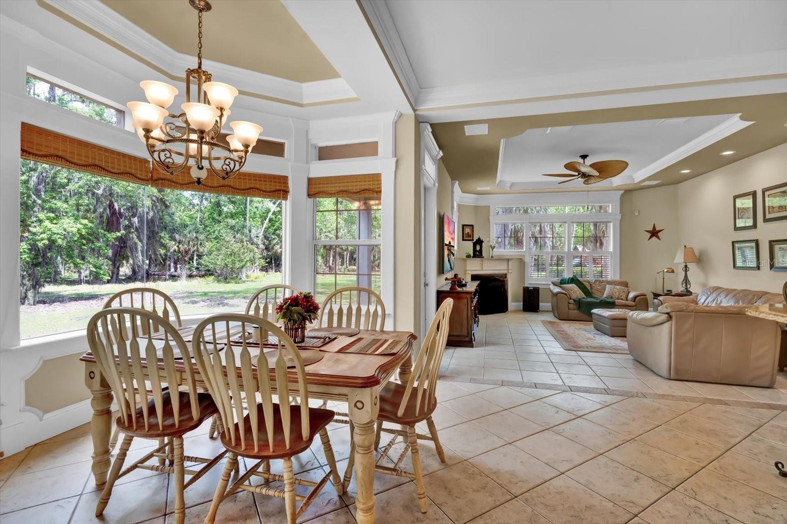 48 AUDUBON LN, FLAGLER BEACH, FL, 32136