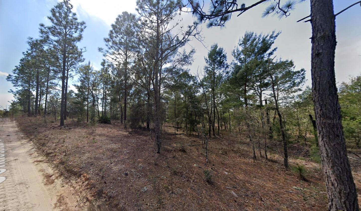 219 CONNECTICUT DR, HAWTHORNE, FL, 32640