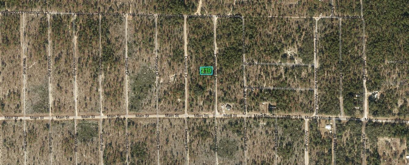 219 CONNECTICUT DR, HAWTHORNE, FL, 32640