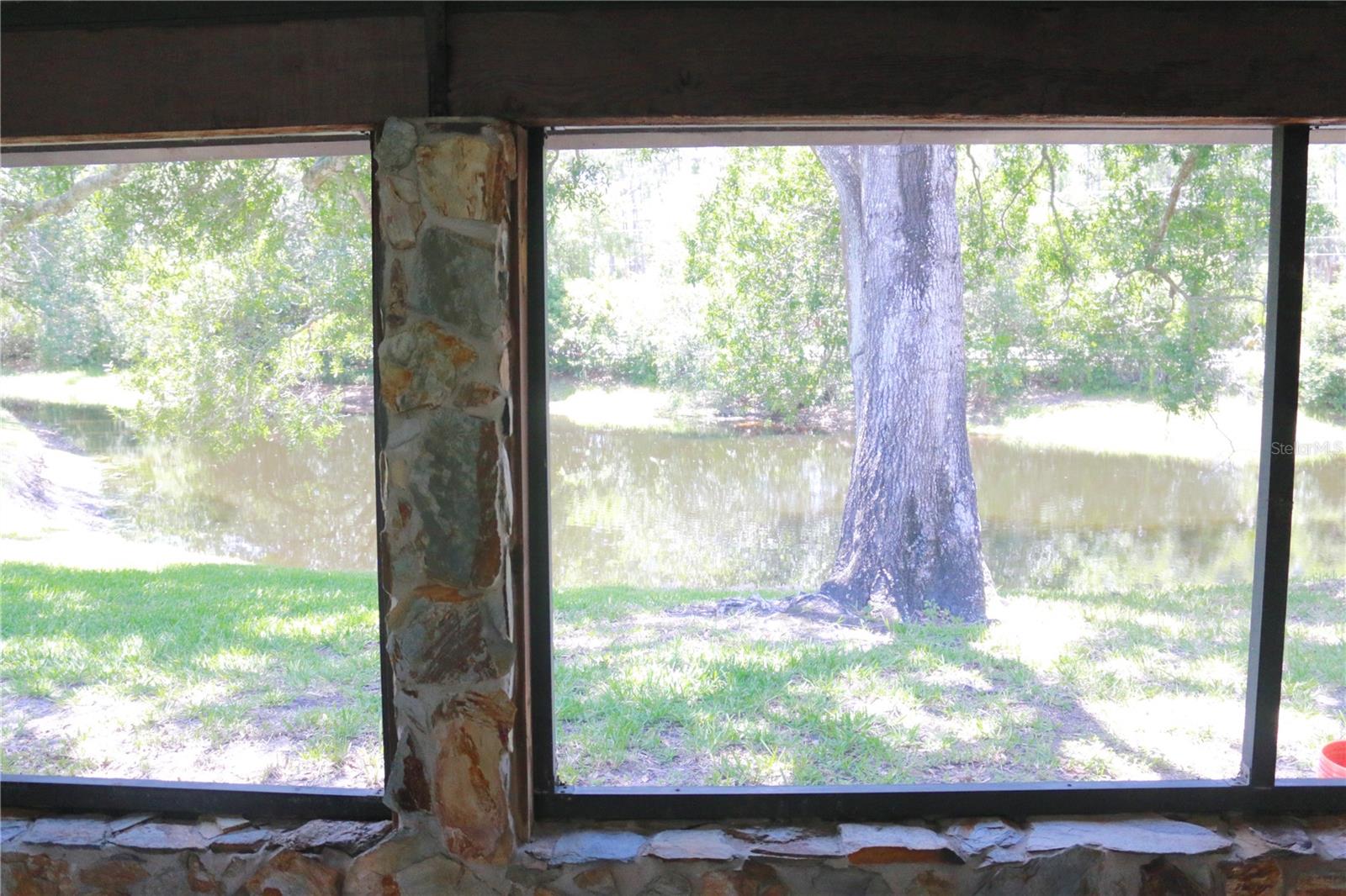 1200 TARPON WOODS BLVD #M6, PALM HARBOR, FL, 34685