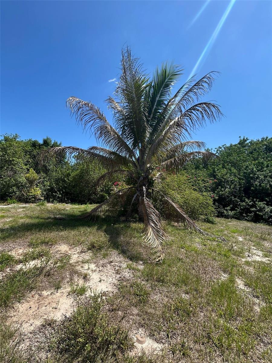 1369 HORSESHOE LOOP, MOORE HAVEN, FL, 33471