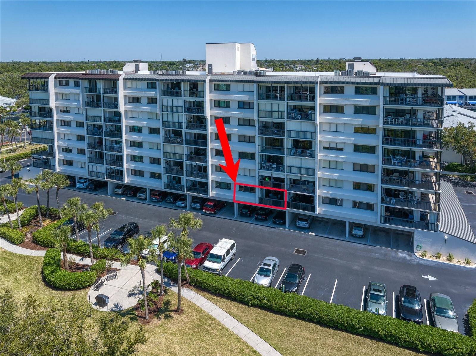 11730 SHIPWATCH DR #203, LARGO, FL, 33774