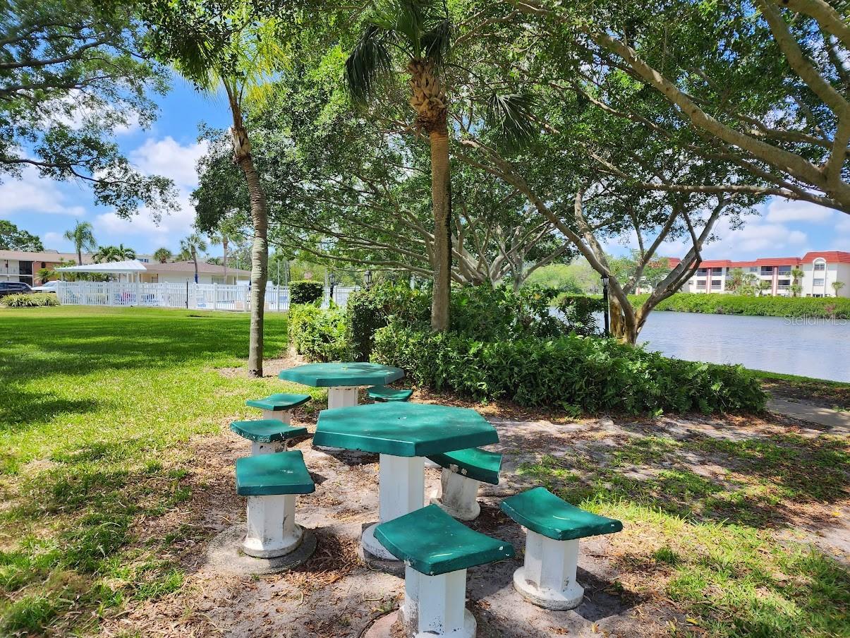 4580 OVERLOOK DR NE #296, ST PETERSBURG, FL, 33703