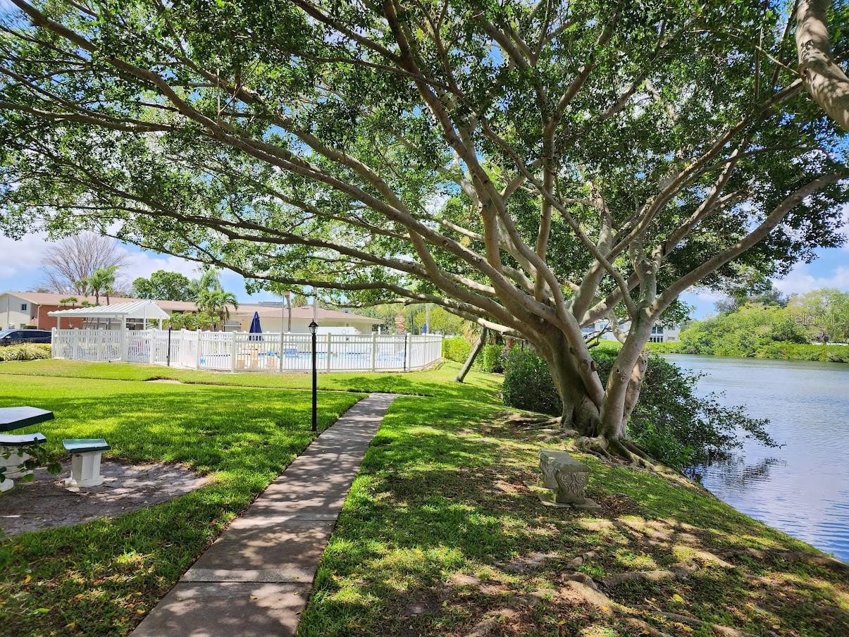 4580 OVERLOOK DR NE #296, ST PETERSBURG, FL, 33703