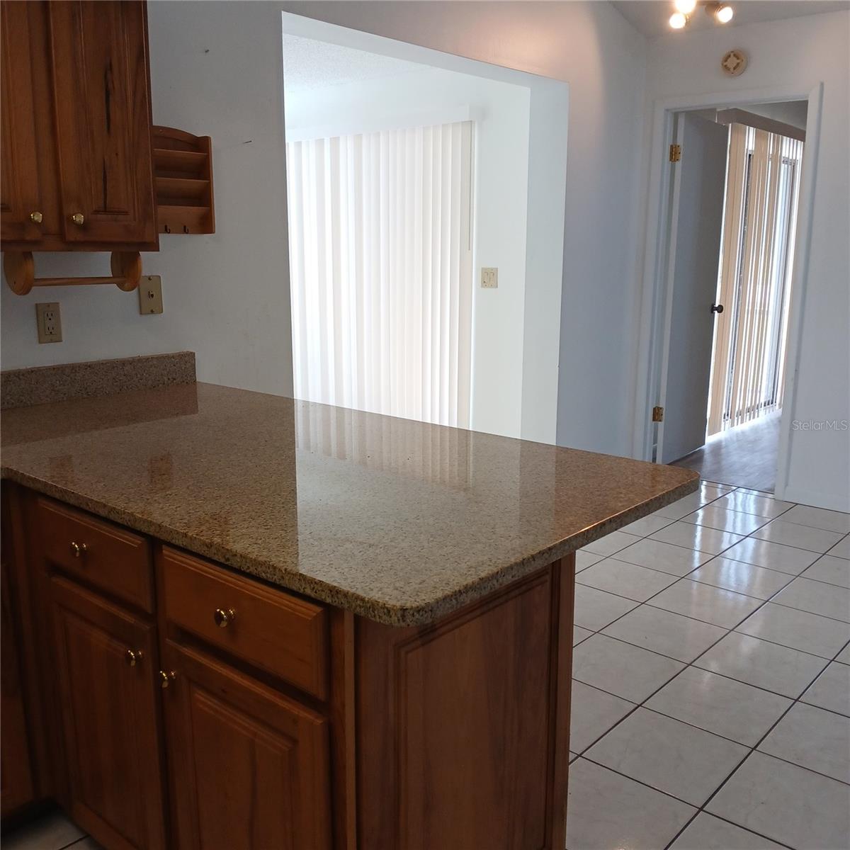 222 N MESQUITE PT, LECANTO, FL, 34461