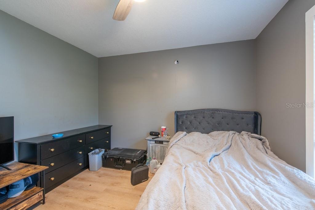 3039 SEAN WAY, PALM HARBOR, FL, 34684