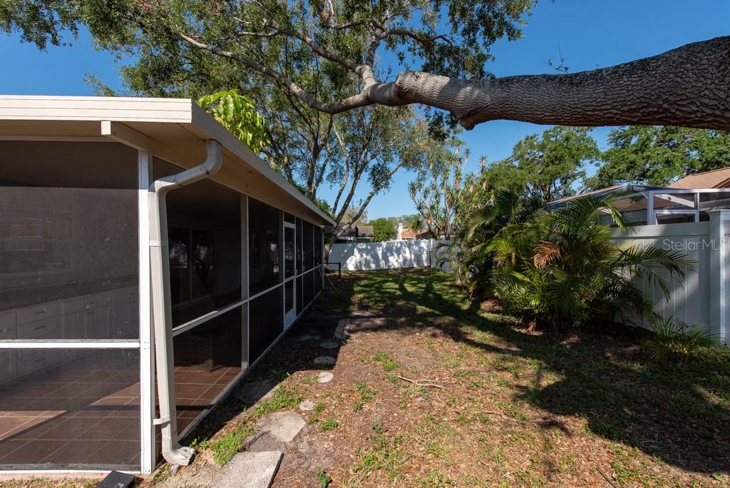 3039 SEAN WAY, PALM HARBOR, FL, 34684