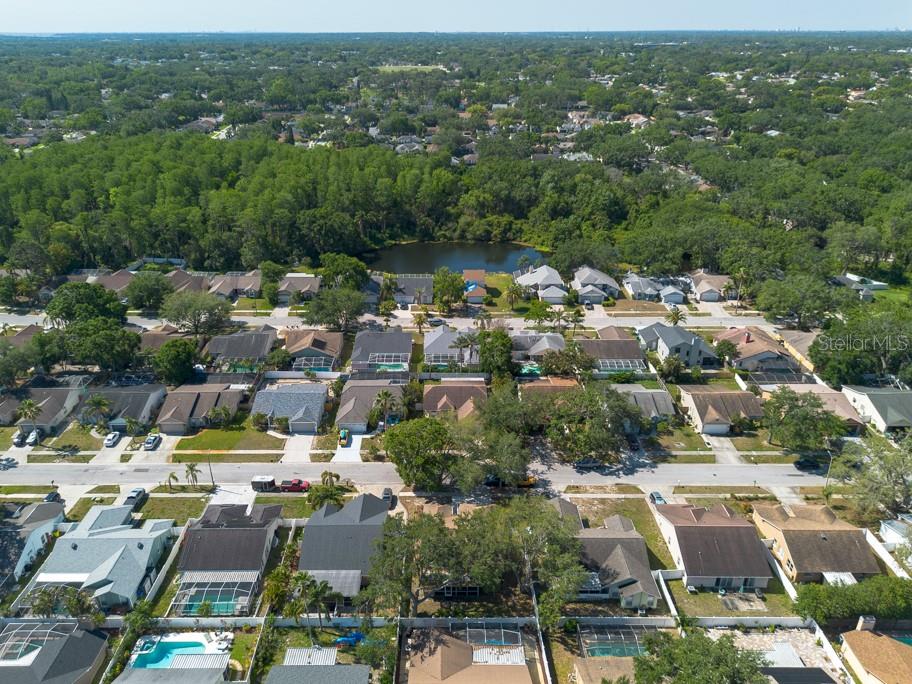 3039 SEAN WAY, PALM HARBOR, FL, 34684