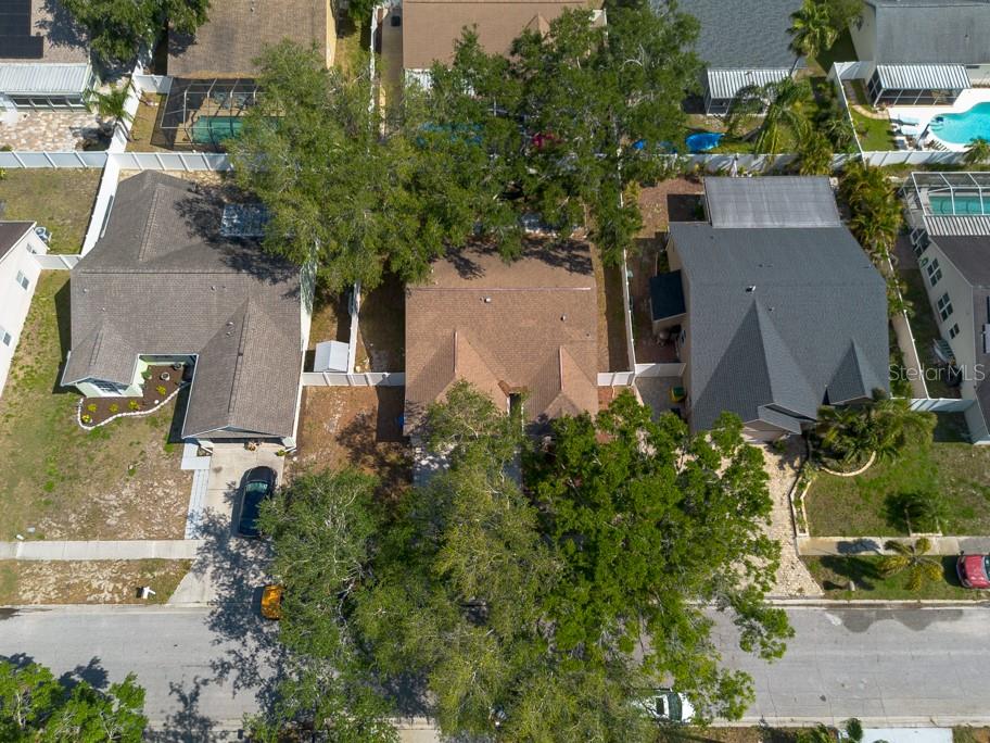 3039 SEAN WAY, PALM HARBOR, FL, 34684
